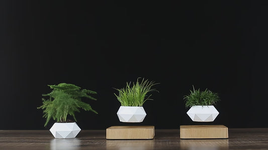 KozyCartel™ LED Levitating Plant Pot